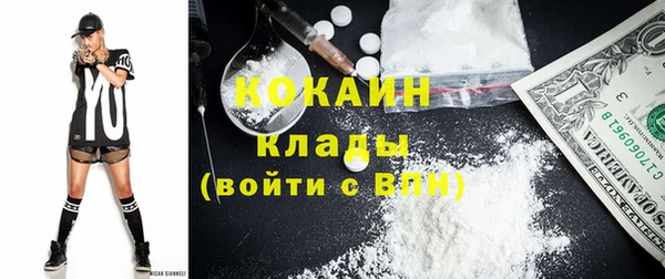 не бодяженный Бородино