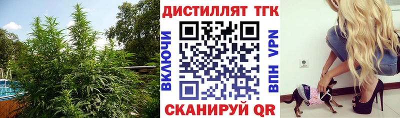 ТГК вейп  Южноуральск 